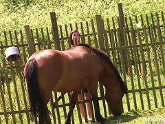 Awesome Couple Fuck Outdoors As They Rest After An Adventurous Horse Ride Porn Videos